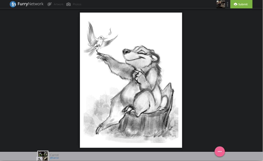 What viewing a single image looks like. Notice the details are all 'below the fold'.